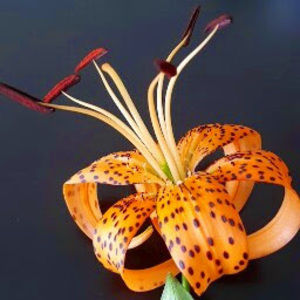 Meet your Posher, Bin